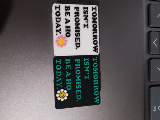 Tomorrow isn't promised. Be a ho today